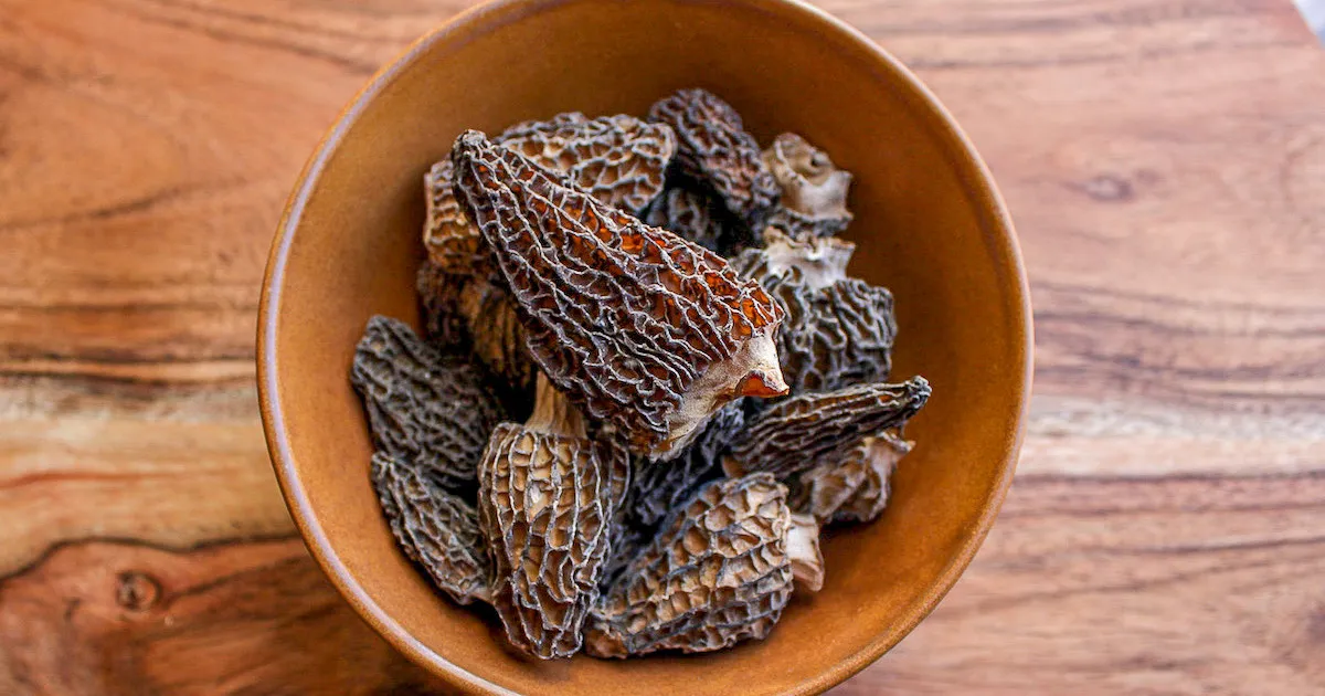 Dried Morel.webp